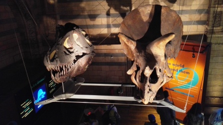 Dinosaurs: they are still here